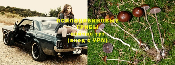 кокс Бородино