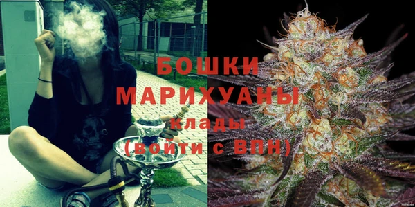 прущие грибы Бронницы