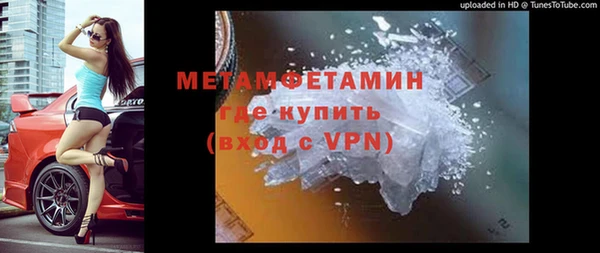 прущие грибы Бронницы