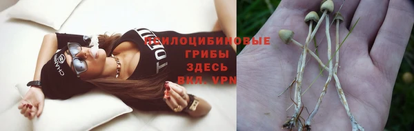 МДПВ Бугульма