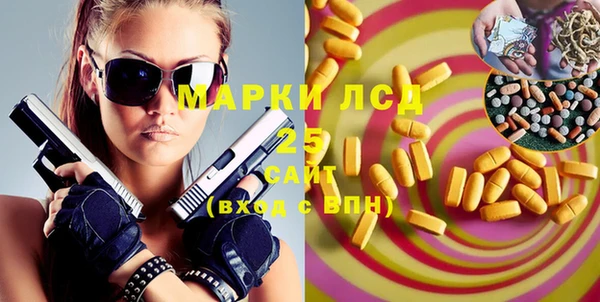 прущие грибы Бронницы