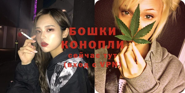 прущие грибы Бронницы