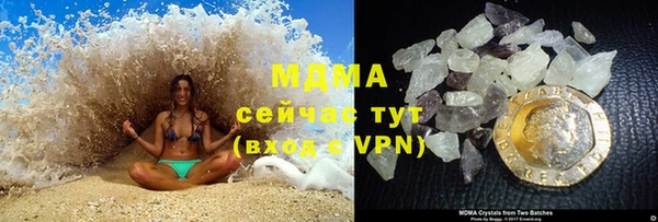 прущие грибы Бронницы