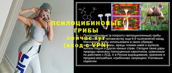 МДПВ Бугульма