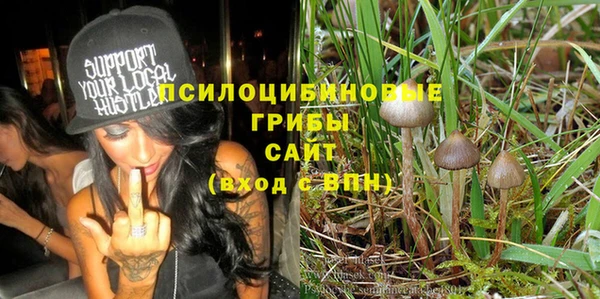 МДПВ Бугульма