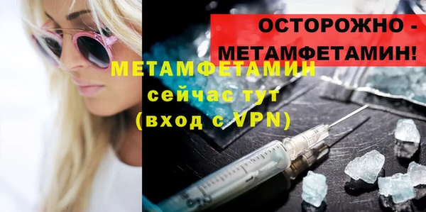 прущие грибы Бронницы