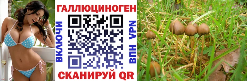 купить наркотики сайты Грозный мега онион Псилоцибиновые грибы ЛСД
